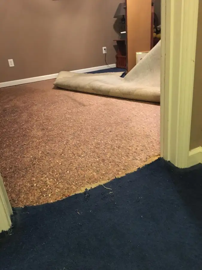 Carpet pad removal revealing water damage during Water Mitigation Services in Scarborough