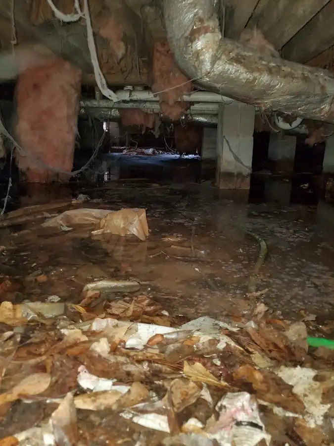 Crawl space flood assessment for Leak Detection & Repair in Scarborough